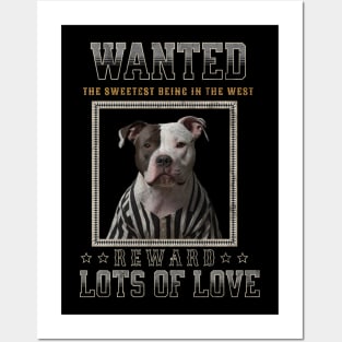 Wanted Pitbull Love Posters and Art